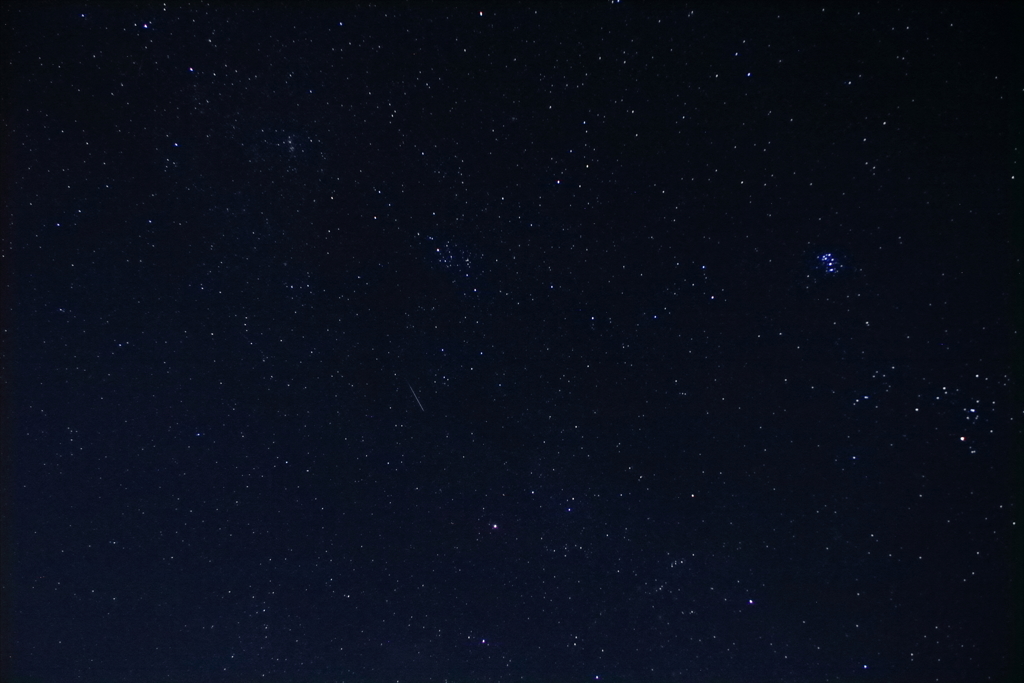 ペルセウス座流星群のはずが・・・