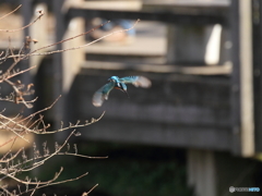 ちと遠かった