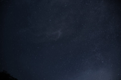 連日の夜遊び