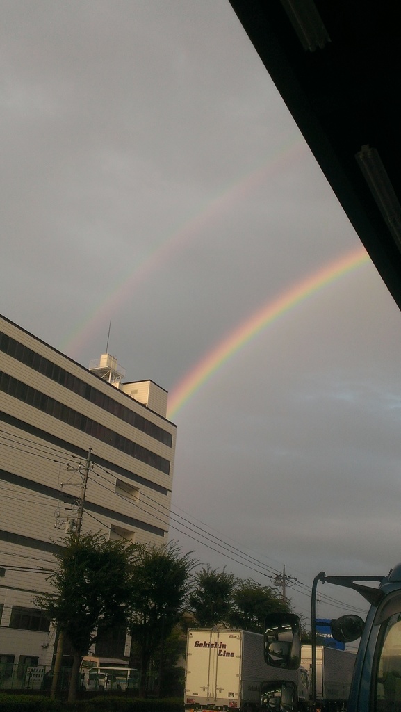 携帯でパシャ