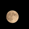 今夜のお月様