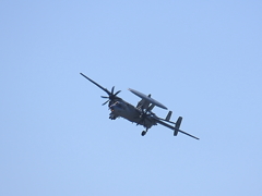 VAW-115 NF602