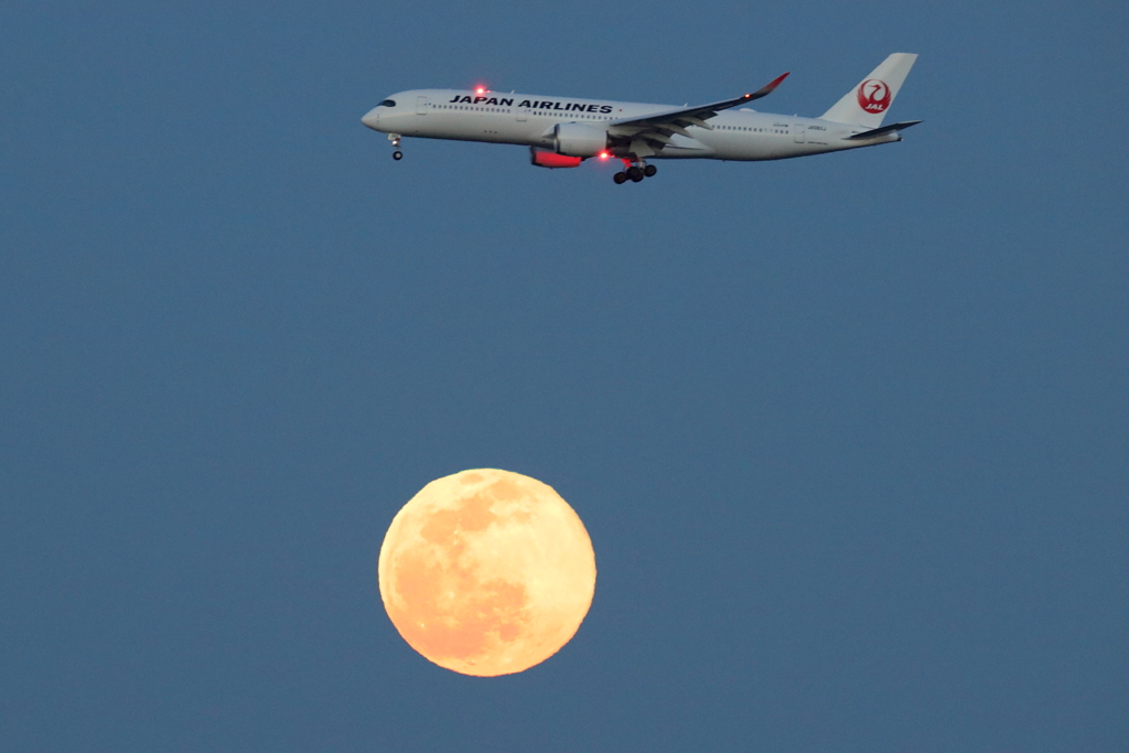 今日の空活