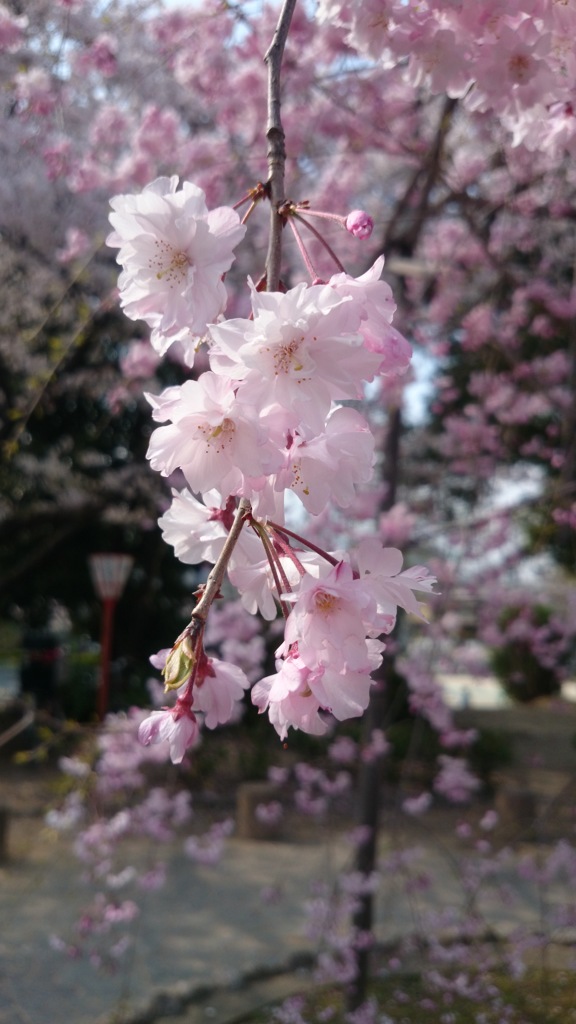 季節は過ぎて