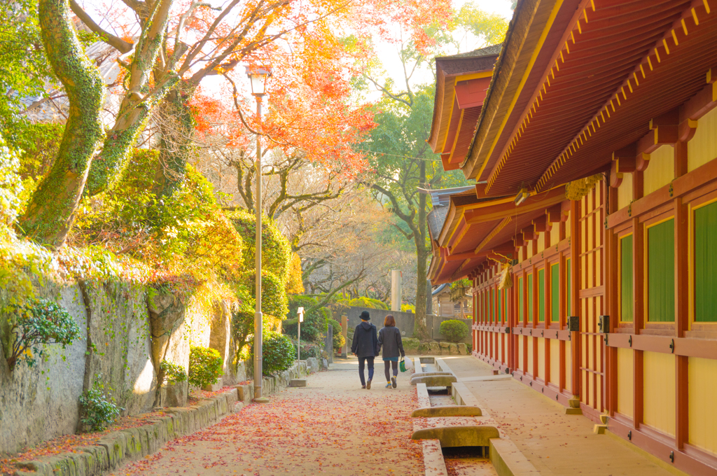 大宰府天満宮で