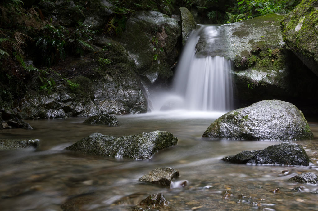 千寿院の滝・・・の手前？