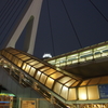 P6210230