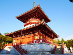 成田山新勝寺 (1)