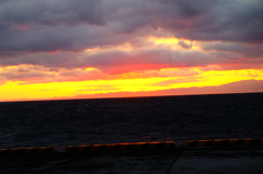 DSCF0818