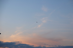 DSCF0760