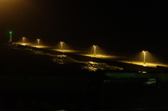 DSCF0800