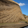 DSCF0881