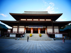 成田山新勝寺 (3)