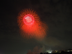 多摩川花火 (5)