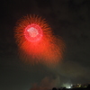 多摩川花火 (5)