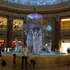 DSC00055