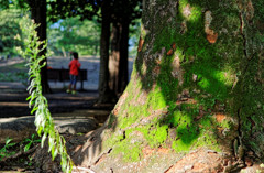 公園の片隅で、一瞬の風景