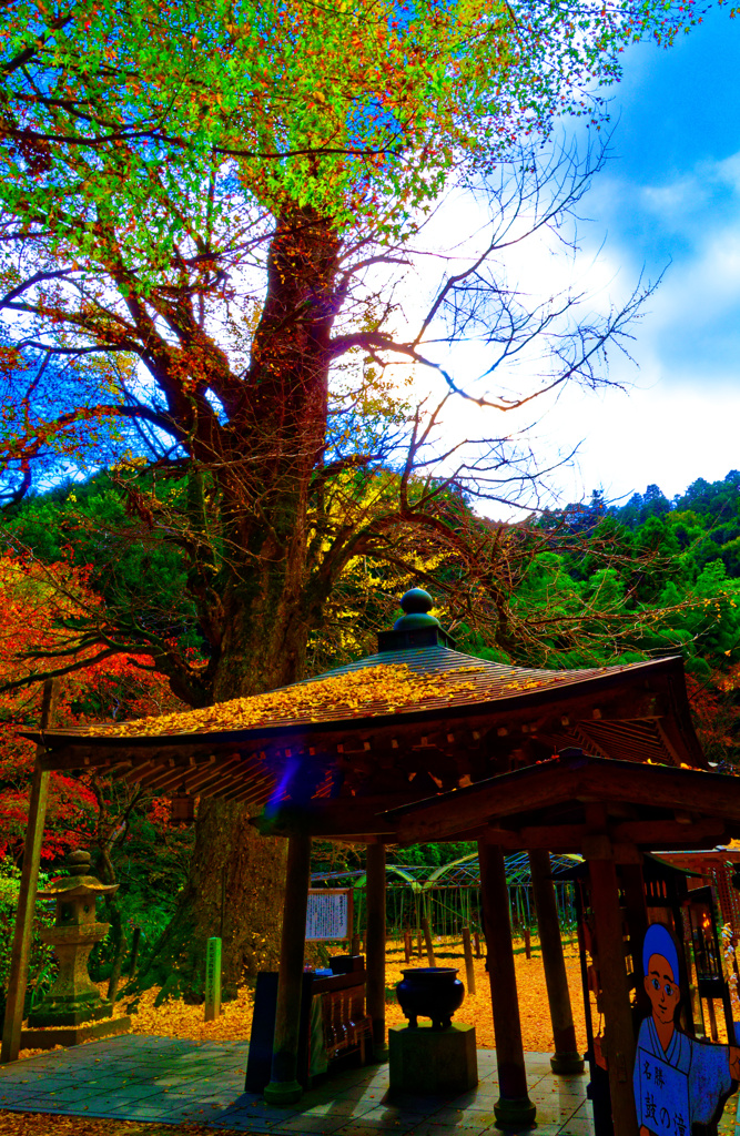 寂寥感のある風景　(山口市 龍蔵寺)