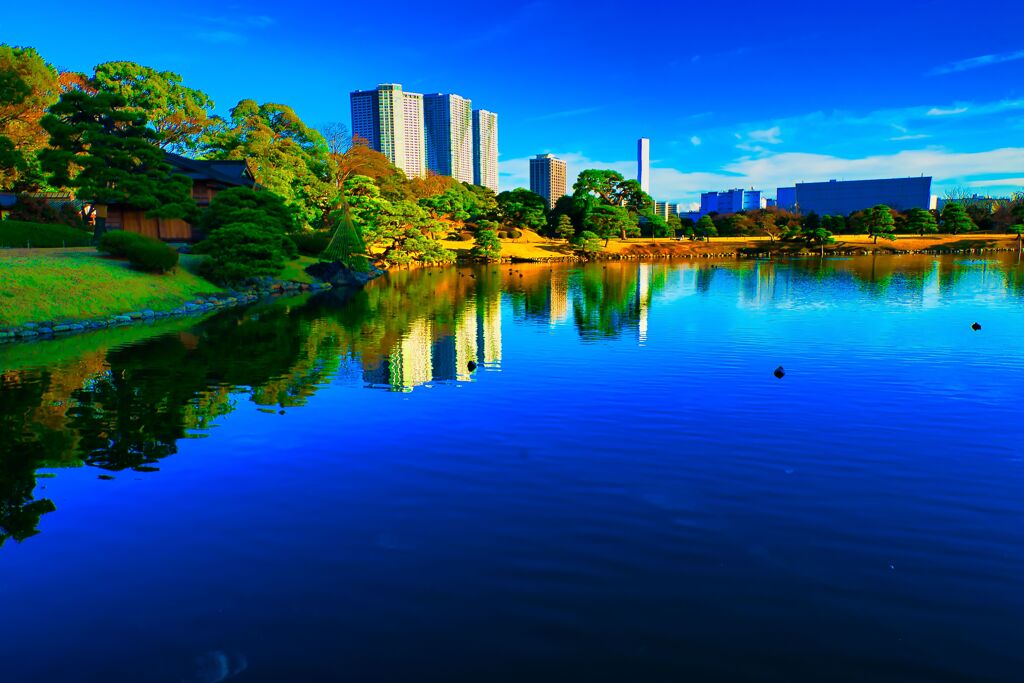 汐入の池と水鏡　（浜離宮恩賜庭園）