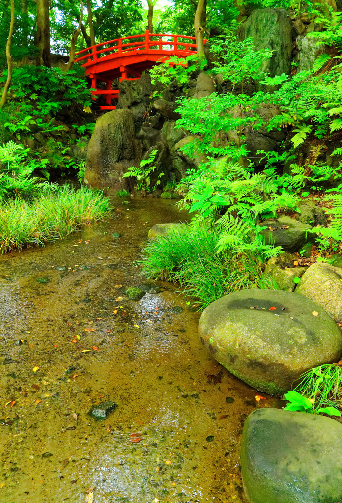 大堰川のせせらぎ　(小石川後楽園)