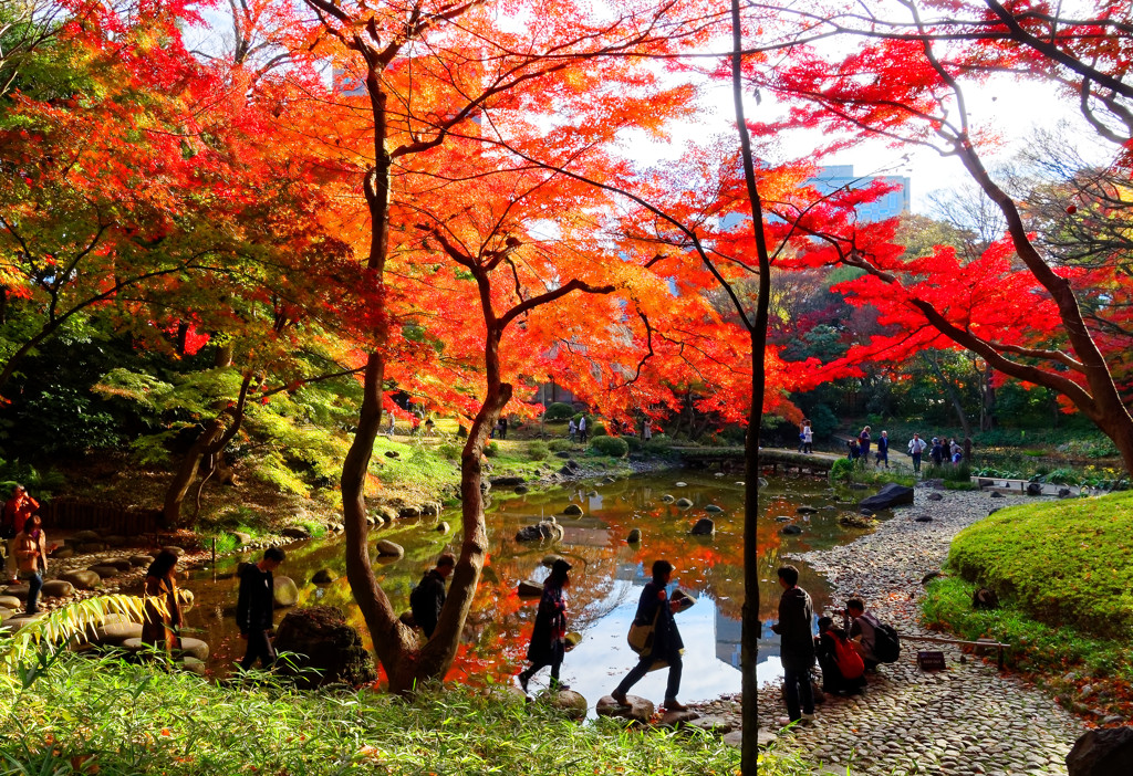 紅葉を巡る人 人 人 小石川後楽園 By Tune Id 190 写真共有サイト Photohito