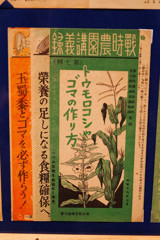 栄養の足しになる食料確保へ　上野 下町風俗資料館にて