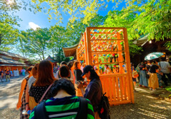 縁むすび風鈴の賑わい　（川越氷川神社）