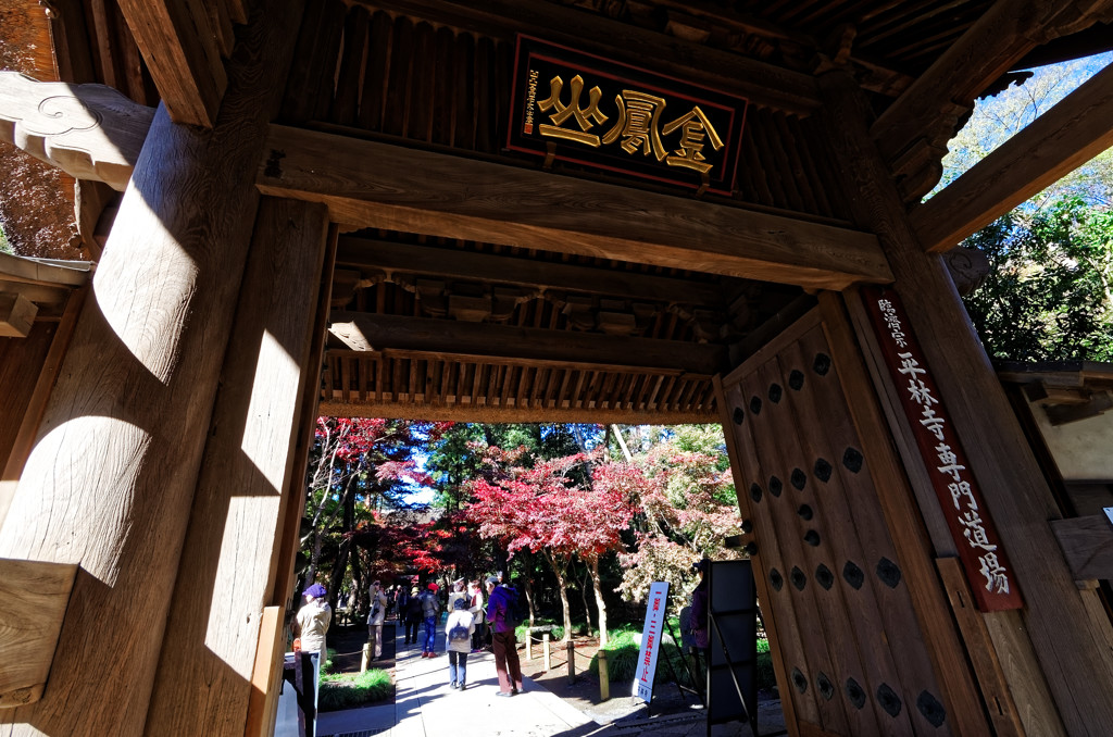 平林寺の紅葉　総門