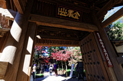 平林寺の紅葉　総門