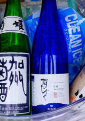 試飲 お酒編　（文京あじさいまつり 白山神社）