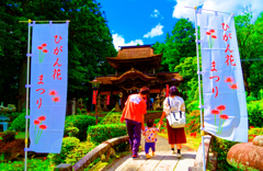 親子連れでひがん花まつり（小鯖八幡宮）