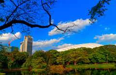 秋空と小石川後楽園