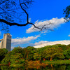 秋空と小石川後楽園