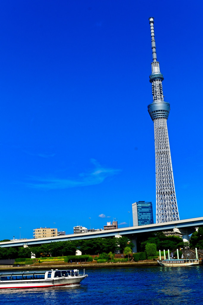 遊覧船とスカイツリー 隅田川 By Tune Id 写真共有サイト Photohito