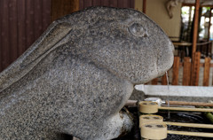 調神社の手水舎