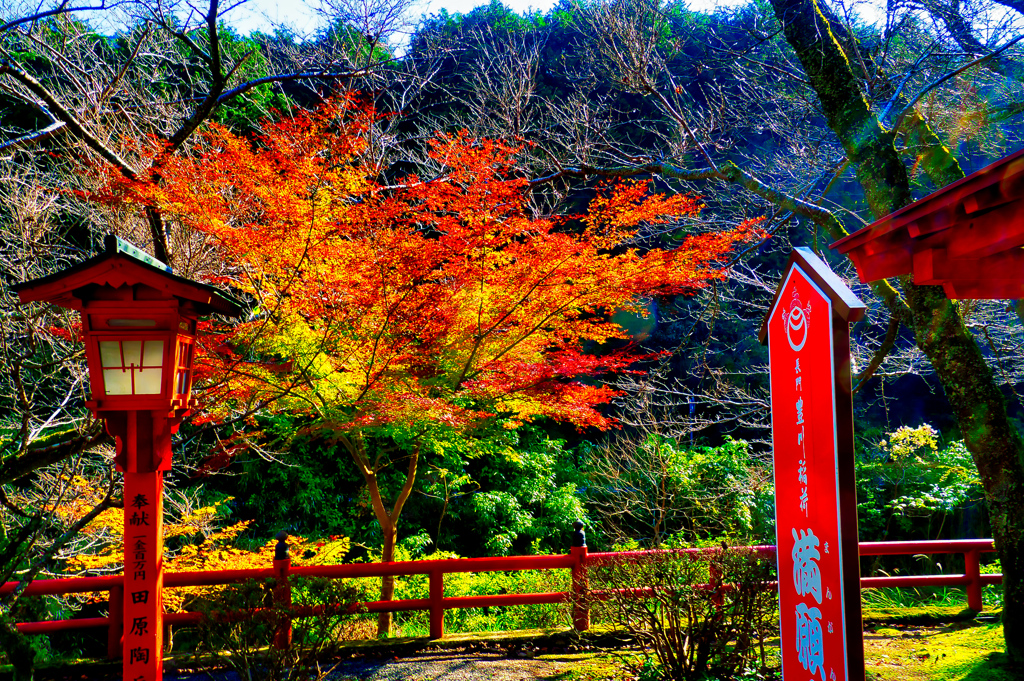 大寧寺の紅葉⑩（山口県長門市）