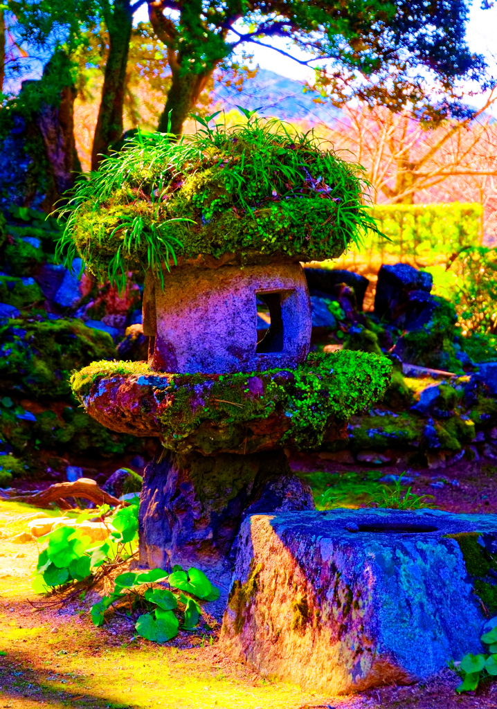 苔むす石灯籠（萩城跡）