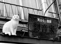 谷中銀座　猫と木の看板