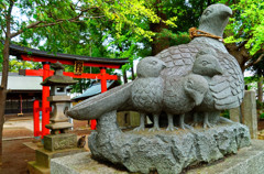 狛犬ならぬ狛雉の神社　（10月後半まで投稿減）