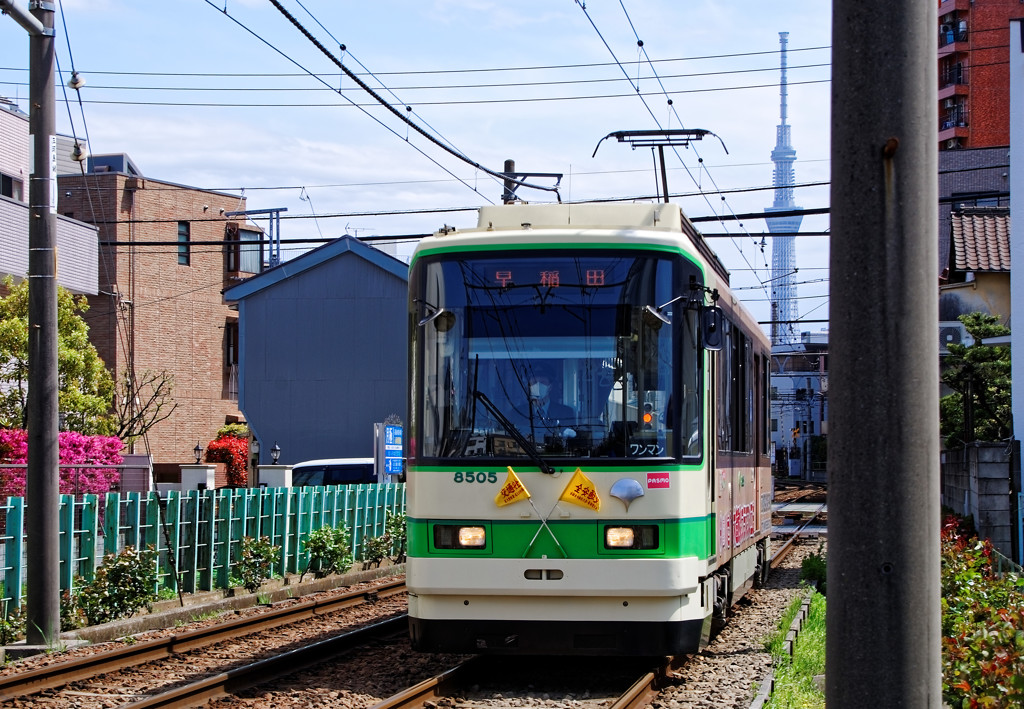 都電荒川区役所前駅にて　都電とスカイツリー（１）