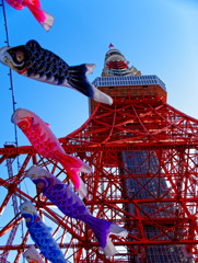 鯉のぼり泳ぐ　東京タワーにて