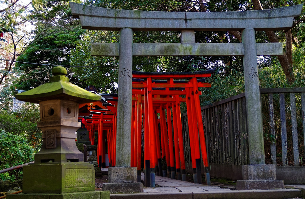 乙女稲荷　根津神社にて