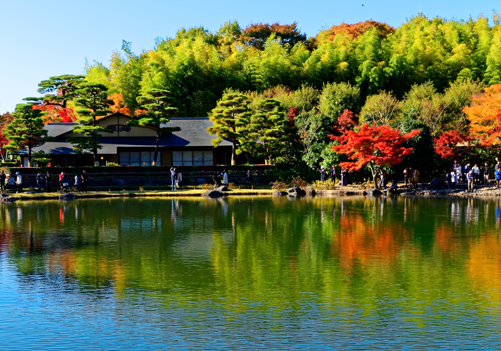 水鏡　昭和記念公園日本庭園にて