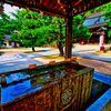 本殿の手水舎（萩市 松陰神社)