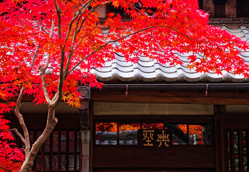 本堂の紅葉　平林寺にて