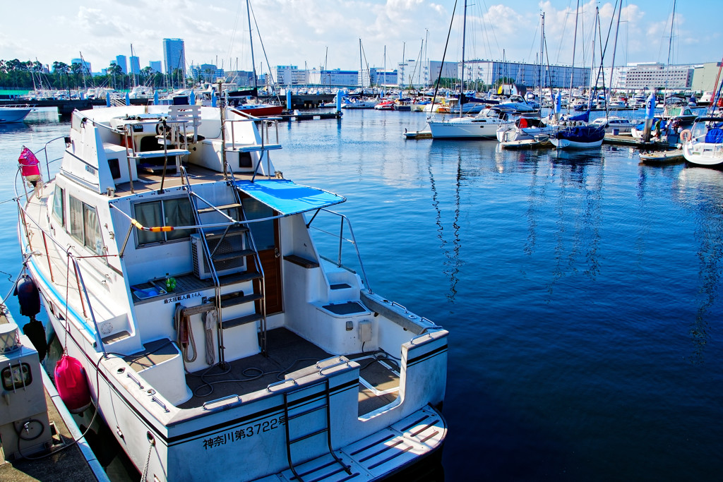 YUMENOSHOMA MARINA②　夢の島公園にて