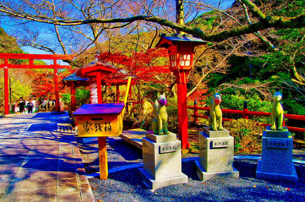 大寧寺の紅葉⑪（山口県長門市）