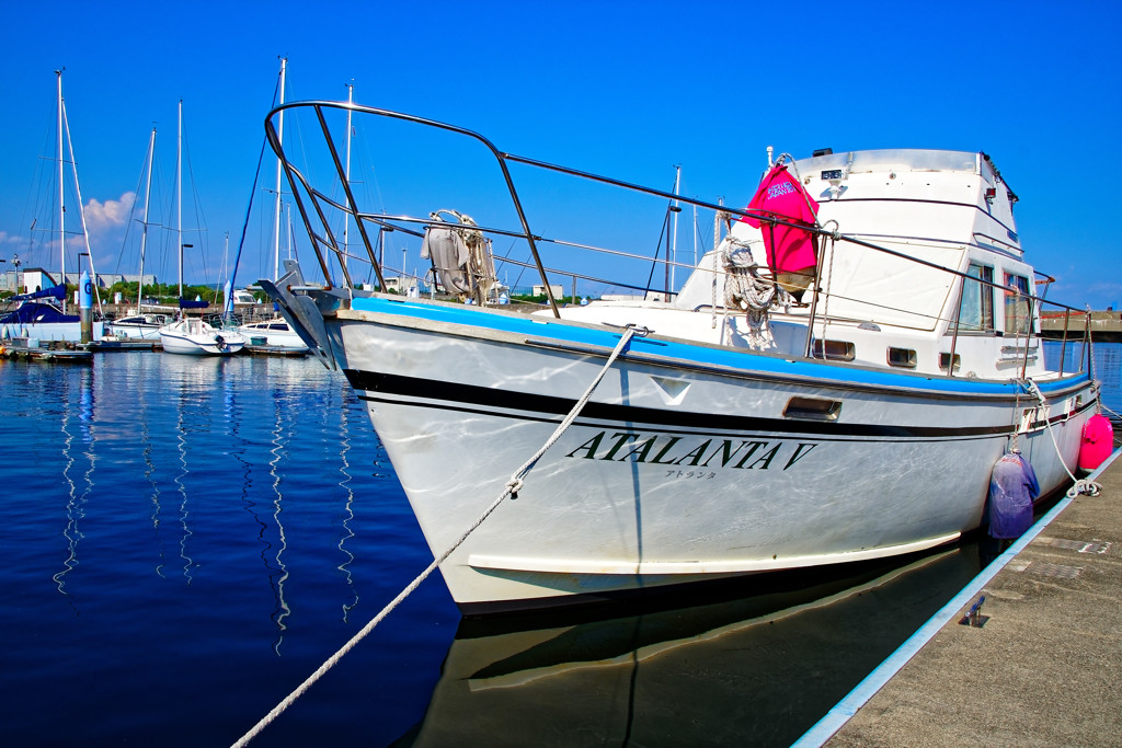 YUMENOSHOMA MARINA③　夢の島公園にて