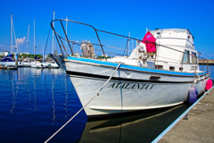 YUMENOSHOMA MARINA③　夢の島公園にて