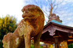 何か用？　（さいたま市 大戸氷川神社）